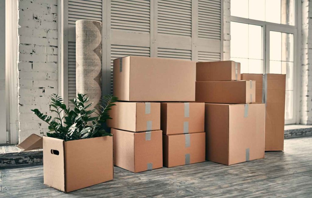 Cartons