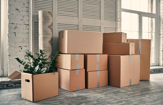Cartons2